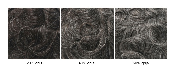 gray hair
